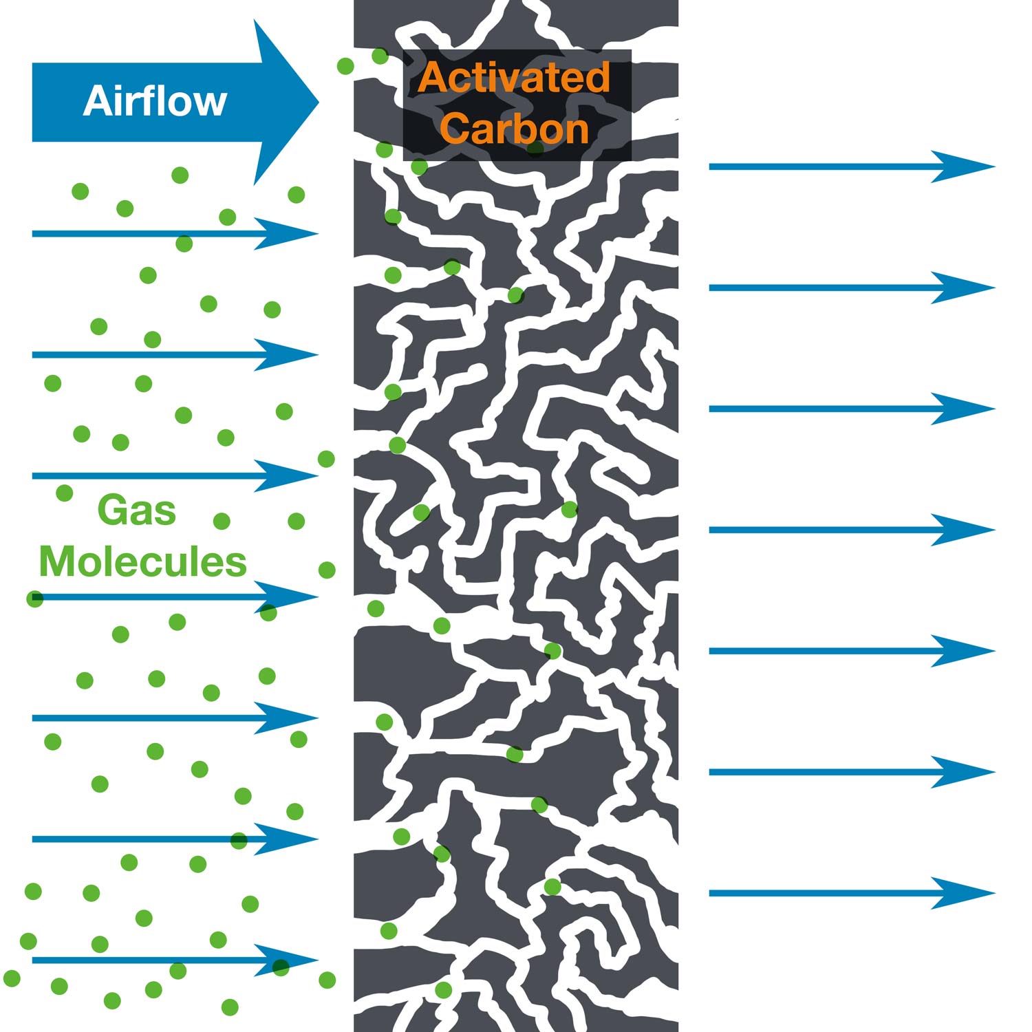 Carbon Filtration