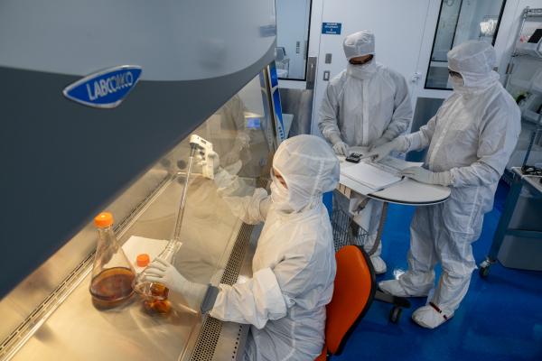 Scientist filling containers inside ISO Class 5 environment provided by the Logic+ Class II, Type A2 Biosafety Cabinet.