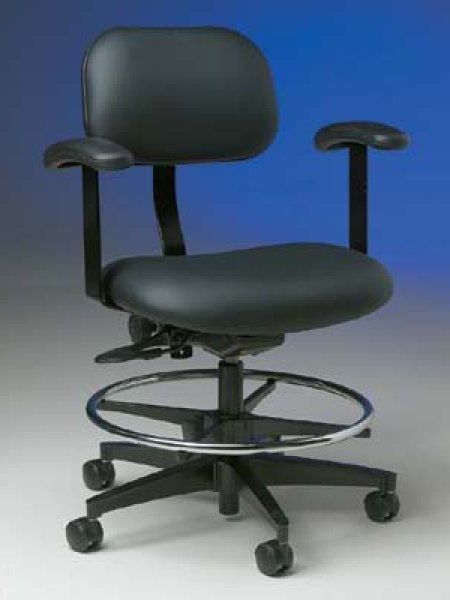 Ergonomic Chair with Armrests